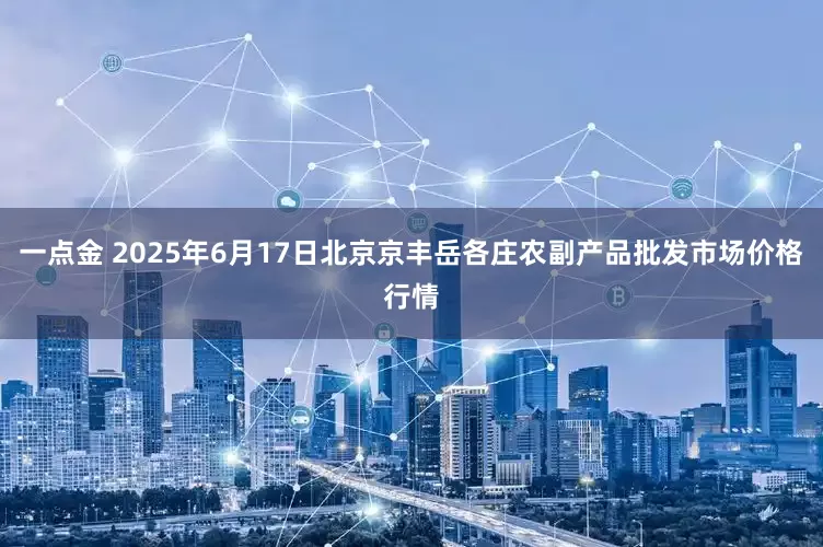 一点金 2025年6月17日北京京丰岳各庄农副产品批发市场价格行情