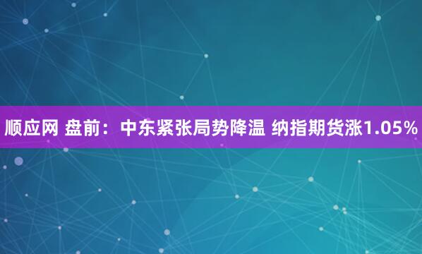 顺应网 盘前：中东紧张局势降温 纳指期货涨1.05%