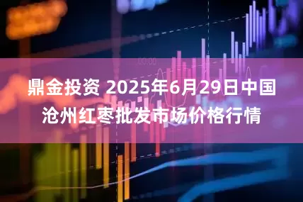 鼎金投资 2025年6月29日中国沧州红枣批发市场价格行情