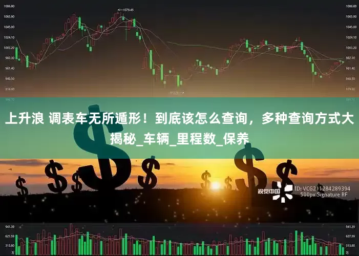 上升浪 调表车无所遁形！到底该怎么查询，多种查询方式大揭秘_车辆_里程数_保养