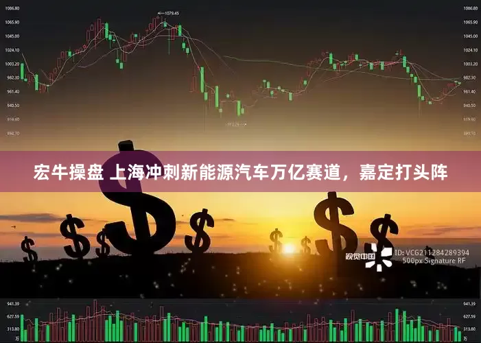 宏牛操盘 上海冲刺新能源汽车万亿赛道，嘉定打头阵