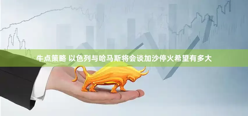 牛点策略 以色列与哈马斯将会谈　加沙停火希望有多大