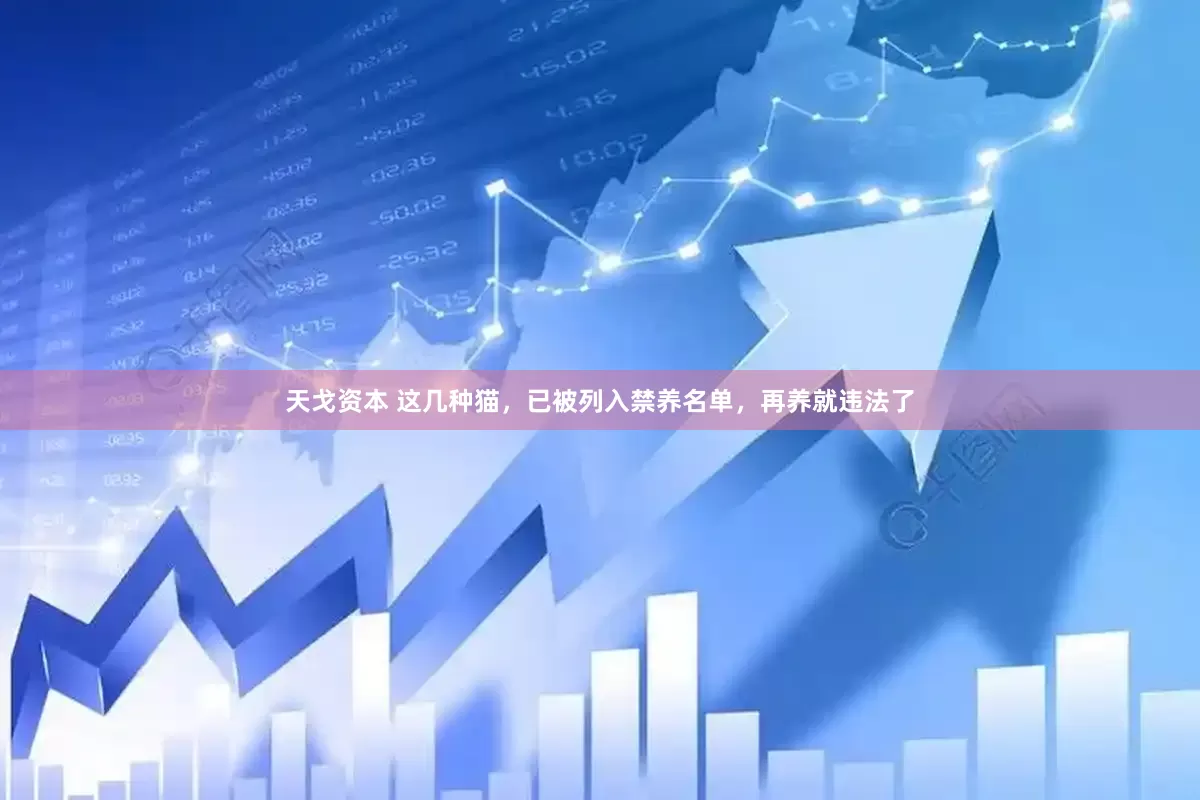 天戈资本 这几种猫,已被列入禁养名单,再养就违法了